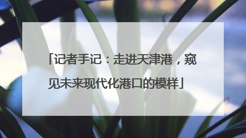 记者手记：走进天津港，窥见未来现代化港口的模样