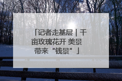 记者走基层｜千亩玫瑰花开 美景带来“钱景”