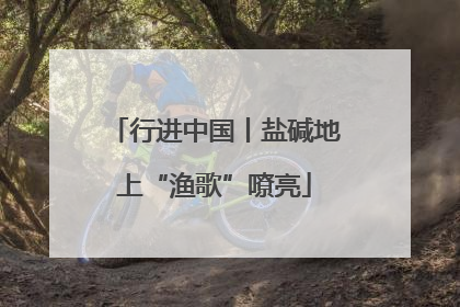 行进中国丨盐碱地上“渔歌”嘹亮