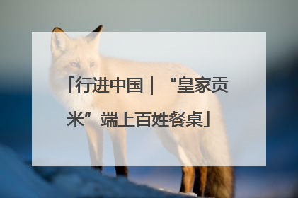 行进中国｜“皇家贡米”端上百姓餐桌