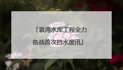 袁湾水库工程全力备战首次挡水度汛