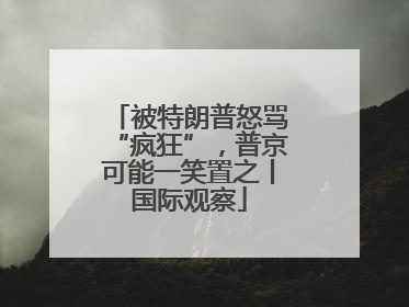 被特朗普怒骂“疯狂”，普京可能一笑置之丨国际观察