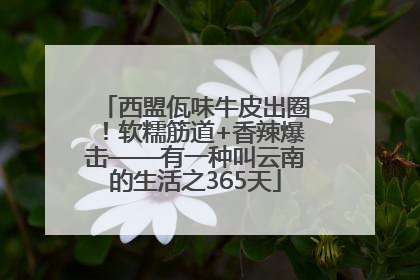 西盟佤味牛皮出圈！软糯筋道+香辣爆击——有一种叫云南的生活之365天