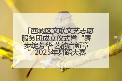 西城区文联文艺志愿服务团成立仪式暨“舞步绽芳华·艺韵启新章”2025年舞蹈大赛展演圆满举办