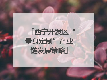 西宁开发区“量身定制”产业链发展策略