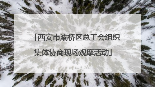 西安市灞桥区总工会组织集体协商现场观摩活动