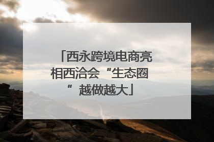 西永跨境电商亮相西洽会“生态圈”越做越大