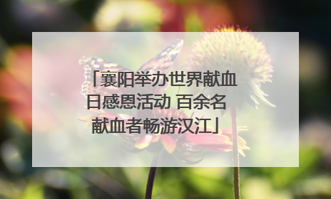 襄阳举办世界献血日感恩活动 百余名献血者畅游汉江