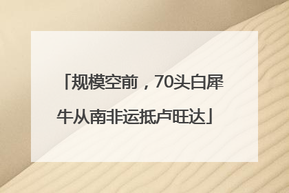 规模空前，70头白犀牛从南非运抵卢旺达