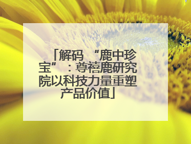 解码 “鹿中珍宝”：尊禧鹿研究院以科技力量重塑产品价值