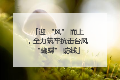 迎 “风” 而上，全力筑牢抗击台风 “蝴蝶” 防线