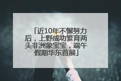 近10年不懈努力后，上野成功繁育两头非洲象宝宝，端午假期华东首展