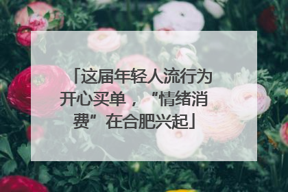 这届年轻人流行为开心买单，“情绪消费”在合肥兴起