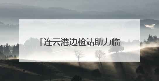 连云港边检站助力临时启用泊位首艘国际航行船舶高效通关