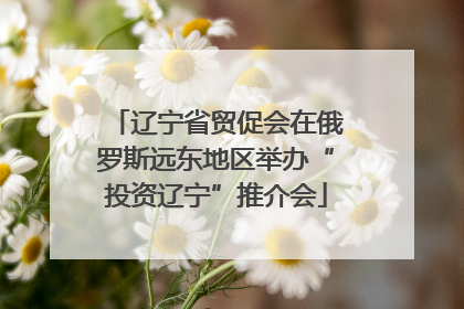 辽宁省贸促会在俄罗斯远东地区举办“投资辽宁”推介会