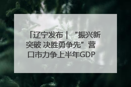 辽宁发布｜“振兴新突破 决胜勇争先”营口市力争上半年GDP增长6%左右