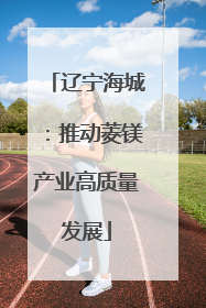 辽宁海城：推动菱镁产业高质量发展