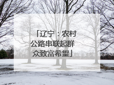 辽宁：农村公路串联起群众致富希望