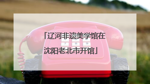 辽河非遗美学馆在沈阳老北市开馆