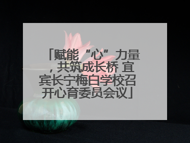 赋能“心”力量，共筑成长桥 宜宾长宁梅白学校召开心育委员会议