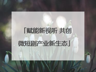 赋能新视听 共创微短剧产业新生态