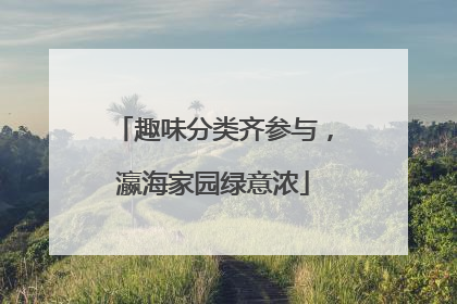 趣味分类齐参与，瀛海家园绿意浓