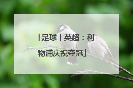 足球丨英超：利物浦庆祝夺冠
