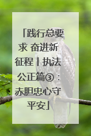 践行总要求 奋进新征程丨执法公正篇③：赤胆忠心守平安