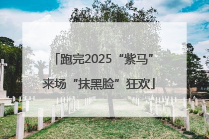 跑完2025“紫马” 来场“抹黑脸”狂欢