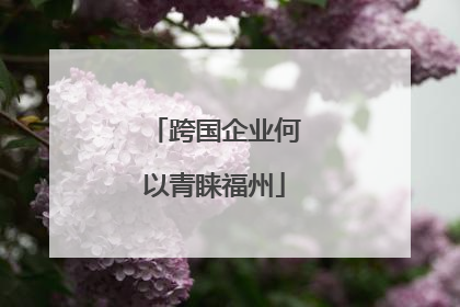 跨国企业何以青睐福州