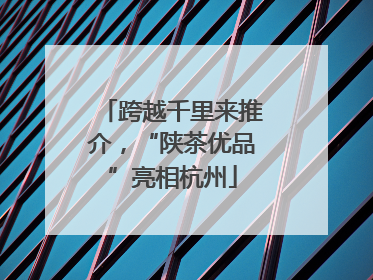 跨越千里来推介，“陕茶优品”亮相杭州