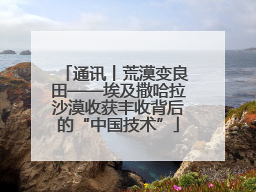 通讯丨荒漠变良田——埃及撒哈拉沙漠收获丰收背后的“中国技术”