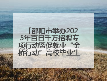 邵阳市举办2025年百日千万招聘专项行动暨促就业“金桥行动”高校毕业生专场招聘会