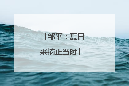 邹平：夏日采摘正当时