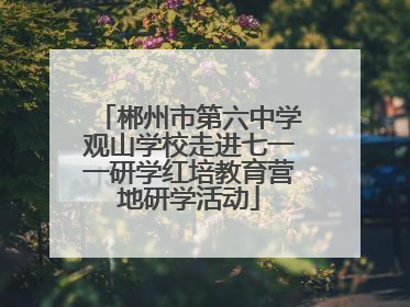 郴州市第六中学观山学校走进七一一研学红培教育营地研学活动
