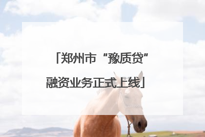 郑州市“豫质贷”融资业务正式上线