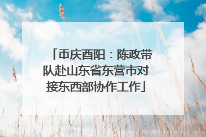 重庆酉阳：陈政带队赴山东省东营市对接东西部协作工作