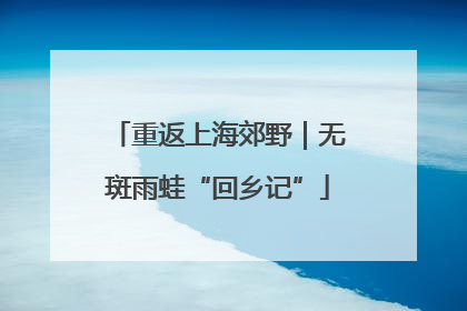 重返上海郊野｜无斑雨蛙“回乡记”
