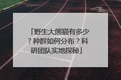 野生大熊猫有多少？种群如何分布？科研团队实地探秘