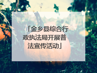金乡县综合行政执法局开展普法宣传活动