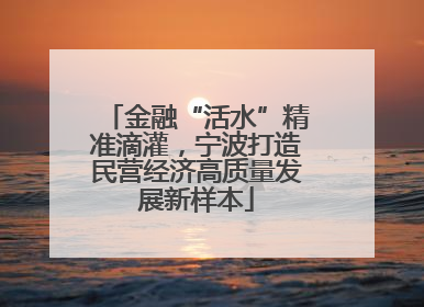 金融“活水”精准滴灌，宁波打造民营经济高质量发展新样本