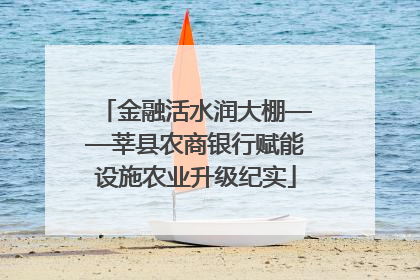 金融活水润大棚——莘县农商银行赋能设施农业升级纪实