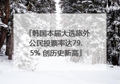 韩国本届大选旅外公民投票率达79.5% 创历史新高
