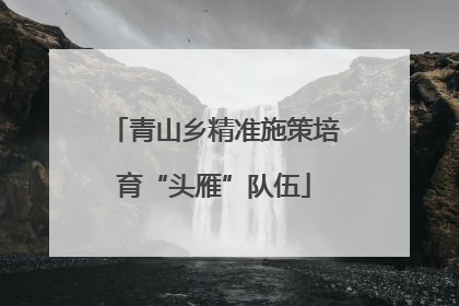 青山乡精准施策培育“头雁”队伍