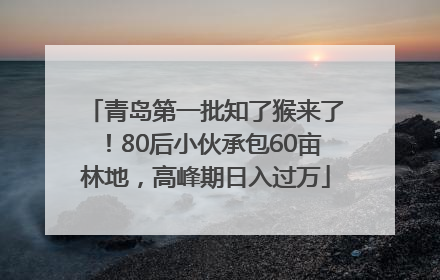 青岛第一批知了猴来了！80后小伙承包60亩林地，高峰期日入过万