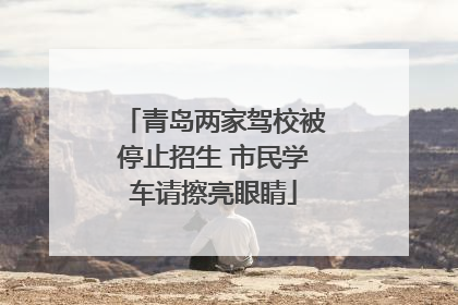 青岛两家驾校被停止招生 市民学车请擦亮眼睛