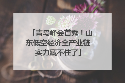 青岛峰会首秀！山东低空经济全产业链实力藏不住了