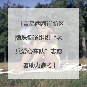 青岛西海岸新区隐珠街道组织“老兵爱心车队”志愿者助力高考