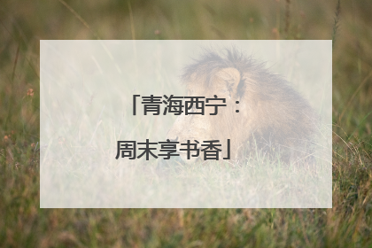 青海西宁：周末享书香