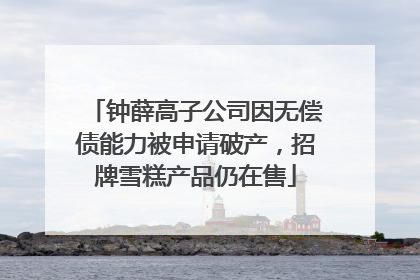 钟薛高子公司因无偿债能力被申请破产，招牌雪糕产品仍在售